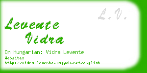 levente vidra business card